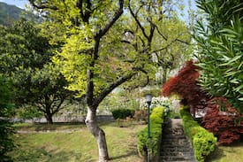 Argegno Villa | Villa il Tiglio with lake view