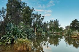 Peel Forest Other | Peel Forest Homestay; Fantail room