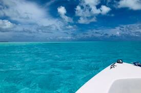 Estate Bonne Resolution House | SEACLUSION A 15 ACRE PRIVATE NATURE RETREAT