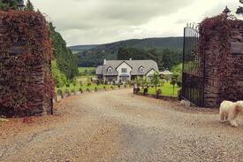 Shillelagh House | Stoops House