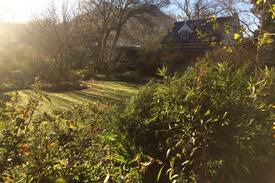 Greyton House | Kloof Cottage Greyton — Nature on your Doorstep