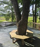Anacoco Cabin | Cabin on the Lake