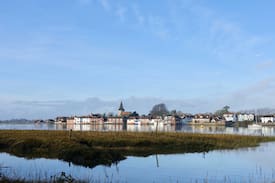 Bosham House | Little Tern. Near Bosham foreshore