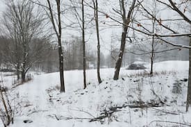 Roxbury Other | Cottage at Little Bird Farm