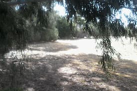 Bearii Other | AINTREE FARM ORGANICS Campsite near Strathmerton