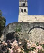 Mologno Apartment | Le Rondini - In the heart of Barga