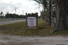 Citra House | Donkey Song Farm