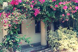 Ladismith House | Barnard B&B