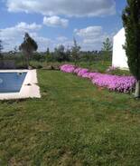 Reguengos de Monsaraz House | Monte das oliveiras