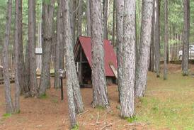 Spezzano della Sila Cabin | baita dei pini,Camigliatello,Sila,Calabria