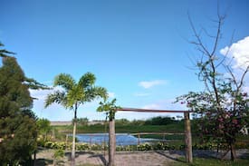 Santa Rita Other | Andreyanna’s Garden