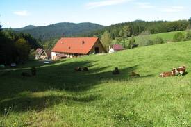 Wolfach - Saint Roman House | Sulzerhof, (Bad Rippoldsau-Schapbach), Doppelzimmer mit Dusche und Etagen-WC