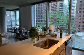Downtown Chicago Apartment | Skyrise in the Heart of Downtown Chicago