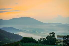 Brinchang House | A'moss Farmstay (Dome 1)