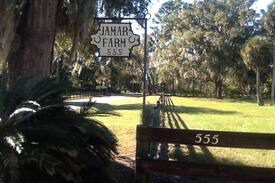 Ocala Other | Jamar Farm