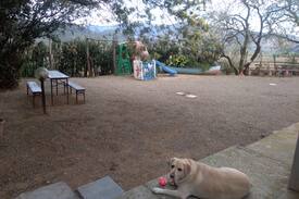 Scarlino Bed & Breakfast | agriturismo a Cala Violina