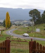 Mole Creek Other | Alphington
