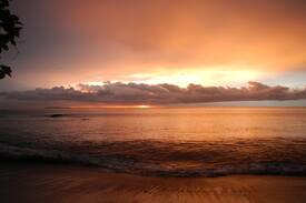 Palma House | Beachfront-rainforest paradise retreat, Drake bay.