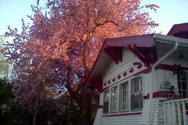 Casper House | Darling Gingerbread House-A Bed & Breakfast
