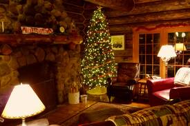 Backus Cabin | Treetop Lodge
