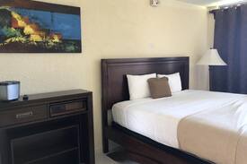 Terranova Hotel | Single Room Disability Access Hotel El Guajataca