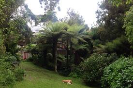 Titirangi Bed & Breakfast | Titirangi Treetops Accommodation