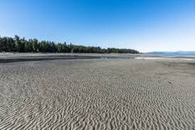 Regional District of Nanaimo Cabin | Oceanside Village Resort Cottage, Rathtrevor Beach