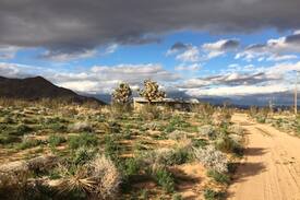 Landers House | Landers Lair - Joshua Tree Rock 'n' Roll Hideout