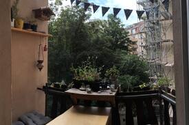 Johannstadt Apartment | Gemütliches Zimmer in der Johannstadt