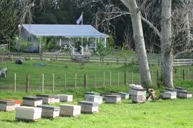Miranda House | Miranda Valley Orchard Cottage - Auckland
