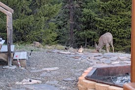 La Grande Cabin | The High Road off grid Small Log Cabin