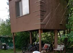 Fairbanks Other | Skylight Tree House