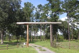 Havana Other | Longleaf Farm
