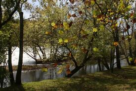 Draper Cabin | Bella Casa on the New River - Waterfront Retreat