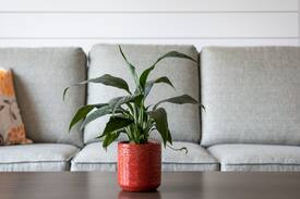 Traverse City Apartment | CitySide Lofts - Unit 13