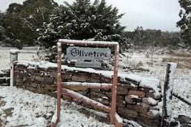 Diamondvale House | The Olivetree Cottage - Stanthorpe