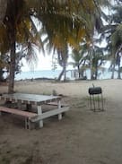 Tobacco Caye Apartment | Gills Cove - Tobacco Caye Room 2