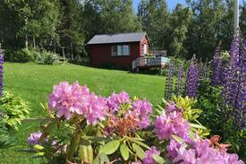 Narvik Cabin | Rosa’s hytte Small cottage 14m2/wc,shower,kitchen