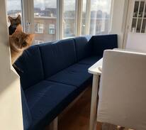 Vissershaven Apartment | Zeezicht appartement, licht en ruim!