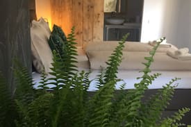 Jekerkwartier Apartment | Nieuw! Botanisch Chic Appartement in Binnenstad