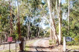 Upper Sturt Other | Kingfisher Creek, Adelaide Hills