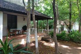 Tiruvannamalai House | Yellow Room, Purity - Bose Compound
