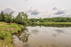 Innsbrook Cabin | The Roost by Innsbrook Vacations