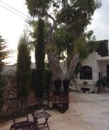 Mgarr Villa | Stables - Art Deco Villa set in the Northern Hills