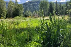 Blaeberry Villa | Blaeberry River Escape