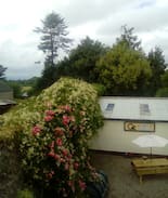 Cloughjordan House | Marion's BnB Room no.1