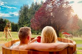Amboy Cabin | The Adams