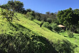 Santa Barbara Other | STUNNING EXCLUSIVE YURT ON 11 ACRES