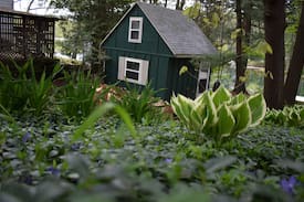 Washago Cabin | Glennridge Manor on the Tranquil Green River