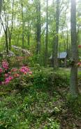 Gallant Cabin | Whippoorwill Creek Ranch Cabin